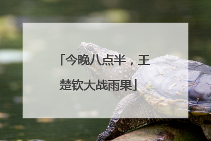 今晚八点半，王楚钦大战雨果