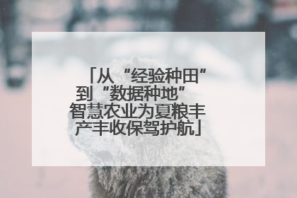 从“经验种田”到“数据种地” 智慧农业为夏粮丰产丰收保驾护航