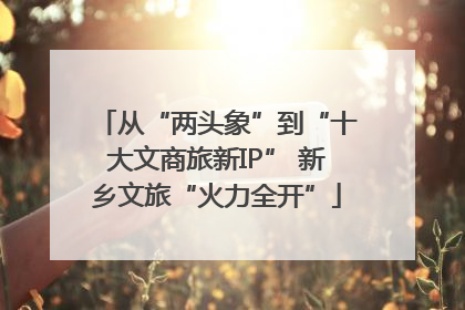 从“两头象”到“十大文商旅新IP” 新乡文旅“火力全开”