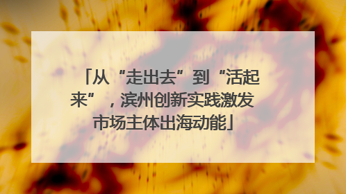 从“走出去”到“活起来”，滨州创新实践激发市场主体出海动能