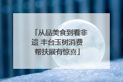 从品美食到看非遗 丰台玉树消费帮扶展有惊喜