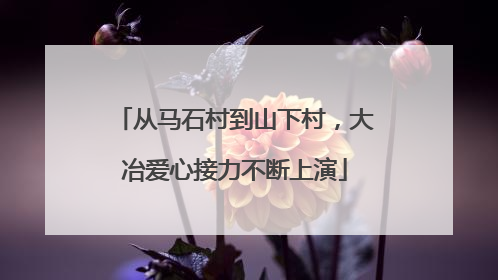 从马石村到山下村，大冶爱心接力不断上演