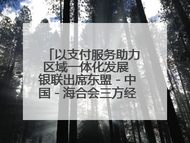 以支付服务助力区域一体化发展 银联出席东盟－中国－海合会三方经济论坛