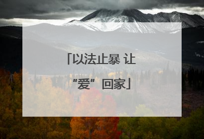 以法止暴 让“爱”回家