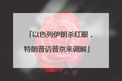 以色列伊朗杀红眼，特朗普请普京来调解