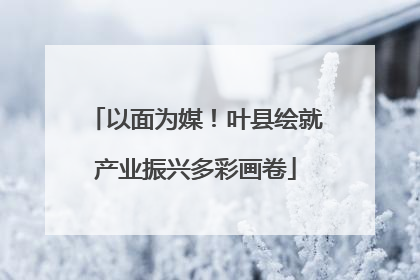 以面为媒！叶县绘就产业振兴多彩画卷
