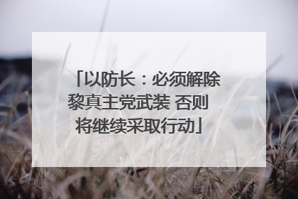以防长：必须解除黎真主党武装 否则将继续采取行动