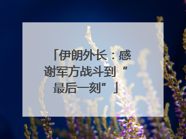 伊朗外长：感谢军方战斗到“最后一刻”