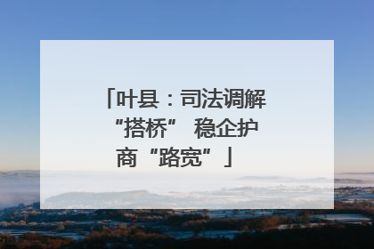 叶县：司法调解“搭桥” 稳企护商“路宽”