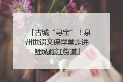 古城“寻宝”！泉州世遗文保学堂走进鲤城临江街道