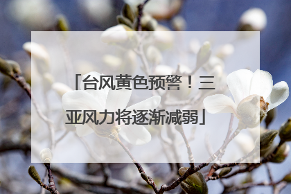 台风黄色预警！三亚风力将逐渐减弱