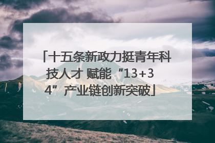 十五条新政力挺青年科技人才 赋能“13+34”产业链创新突破