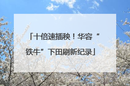 十倍速插秧！华容“铁牛”下田刷新纪录