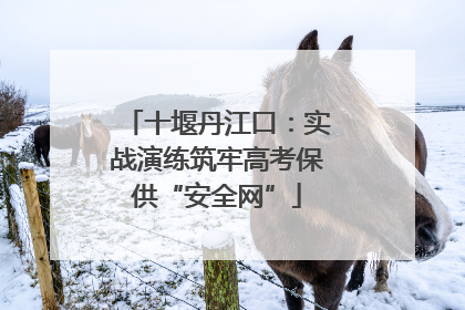 十堰丹江口：实战演练筑牢高考保供“安全网”