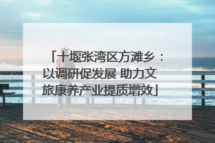 十堰张湾区方滩乡：以调研促发展 助力文旅康养产业提质增效