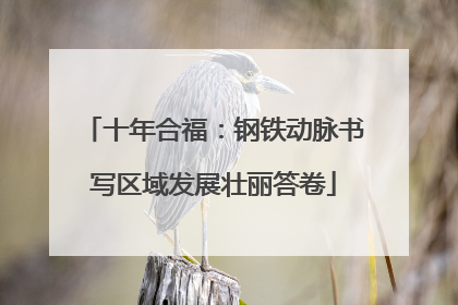 十年合福：钢铁动脉书写区域发展壮丽答卷