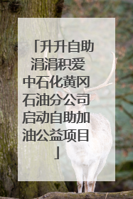 升升自助 涓涓积爱中石化黄冈石油分公司启动自助加油公益项目