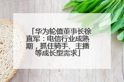 华为轮值董事长徐直军：电信行业成熟期，抓住骑手、主播等成长型需求