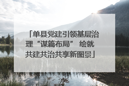 单县党建引领基层治理“谋篇布局” 绘就共建共治共享新图景