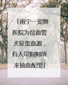 南宁一宠物医院为贫血警犬征集血源，有人带狗狗前来抽血配型