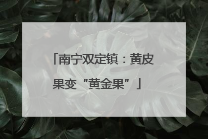 南宁双定镇：黄皮果变“黄金果”