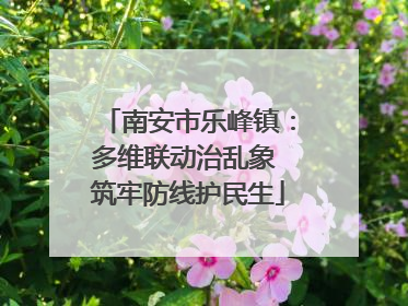 南安市乐峰镇：多维联动治乱象 筑牢防线护民生