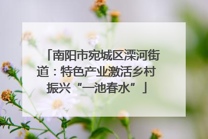 南阳市宛城区溧河街道：特色产业激活乡村振兴“一池春水”