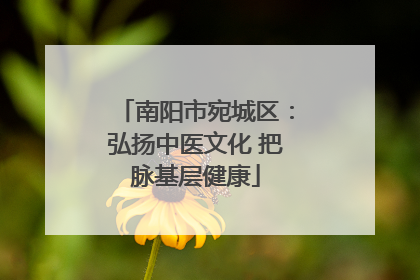南阳市宛城区：弘扬中医文化 把脉基层健康