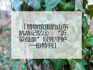 博物馆里的山东抗战记忆①：“沂蒙母亲”冒死守护一份特刊