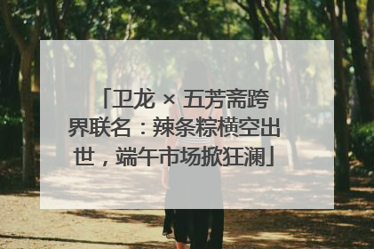 卫龙 × 五芳斋跨界联名：辣条粽横空出世，端午市场掀狂澜