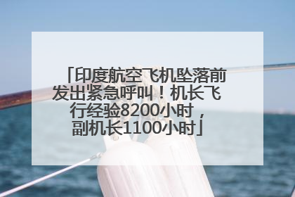 印度航空飞机坠落前发出紧急呼叫！机长飞行经验8200小时，副机长1100小时
