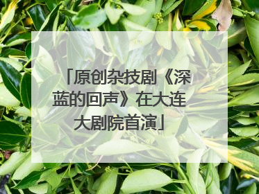 原创杂技剧《深蓝的回声》在大连大剧院首演