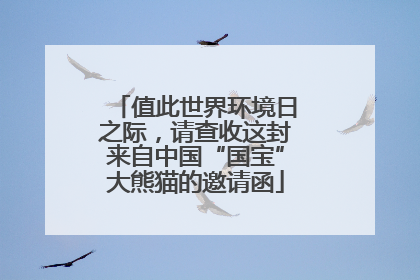 值此世界环境日之际，请查收这封来自中国“国宝”大熊猫的邀请函