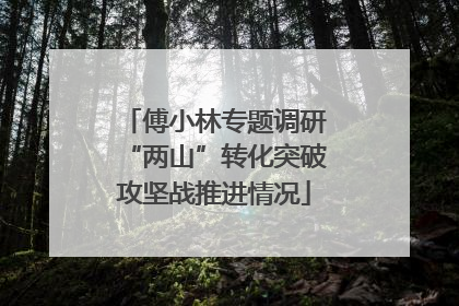 傅小林专题调研“两山”转化突破攻坚战推进情况