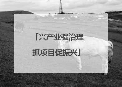 兴产业强治理 抓项目促振兴