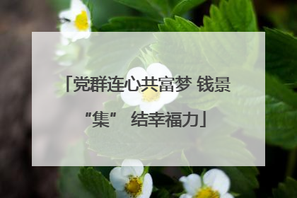 党群连心共富梦 钱景 “集” 结幸福力