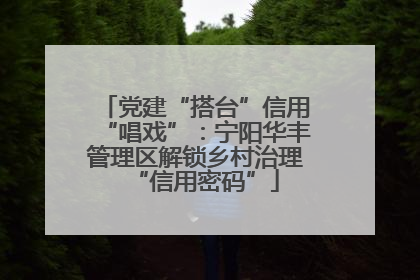 党建“搭台”信用“唱戏”：宁阳华丰管理区解锁乡村治理“信用密码”