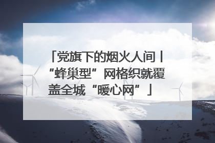 党旗下的烟火人间丨“蜂巢型”网格织就覆盖全城“暖心网”