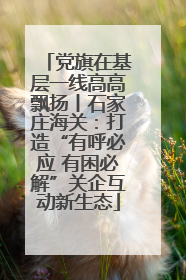 党旗在基层一线高高飘扬丨石家庄海关：打造“有呼必应 有困必解”关企互动新生态