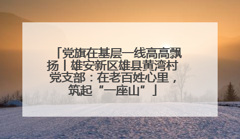 党旗在基层一线高高飘扬丨雄安新区雄县黄湾村党支部：在老百姓心里，筑起“一座山”