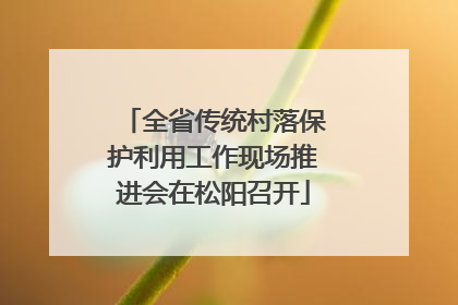 全省传统村落保护利用工作现场推进会在松阳召开