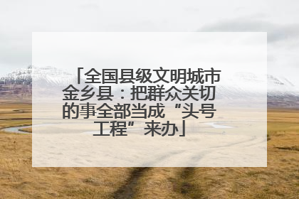 全国县级文明城市金乡县：把群众关切的事全部当成“头号工程”来办