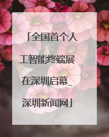 全国首个人工智能终端展在深圳启幕_深圳新闻网