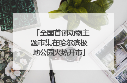 全国首创动物主题市集在哈尔滨极地公园火热开市