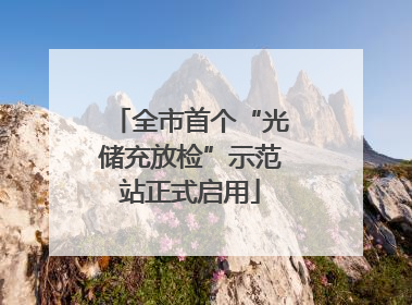 全市首个“光储充放检”示范站正式启用