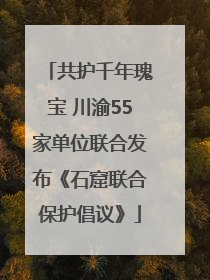 共护千年瑰宝 川渝55家单位联合发布《石窟联合保护倡议》