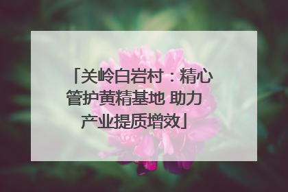 关岭白岩村：精心管护黄精基地 助力产业提质增效