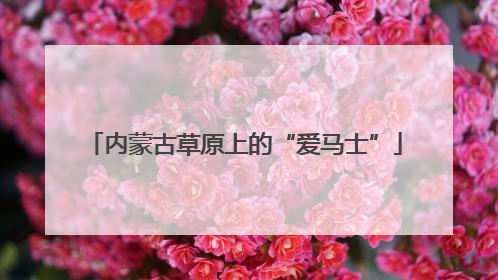 内蒙古草原上的“爱马士”