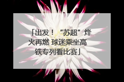出发！“苏超”烽火再燃 球迷乘坐高铁专列看比赛