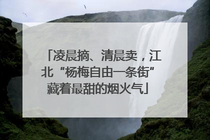 凌晨摘、清晨卖，江北“杨梅自由一条街”藏着最甜的烟火气